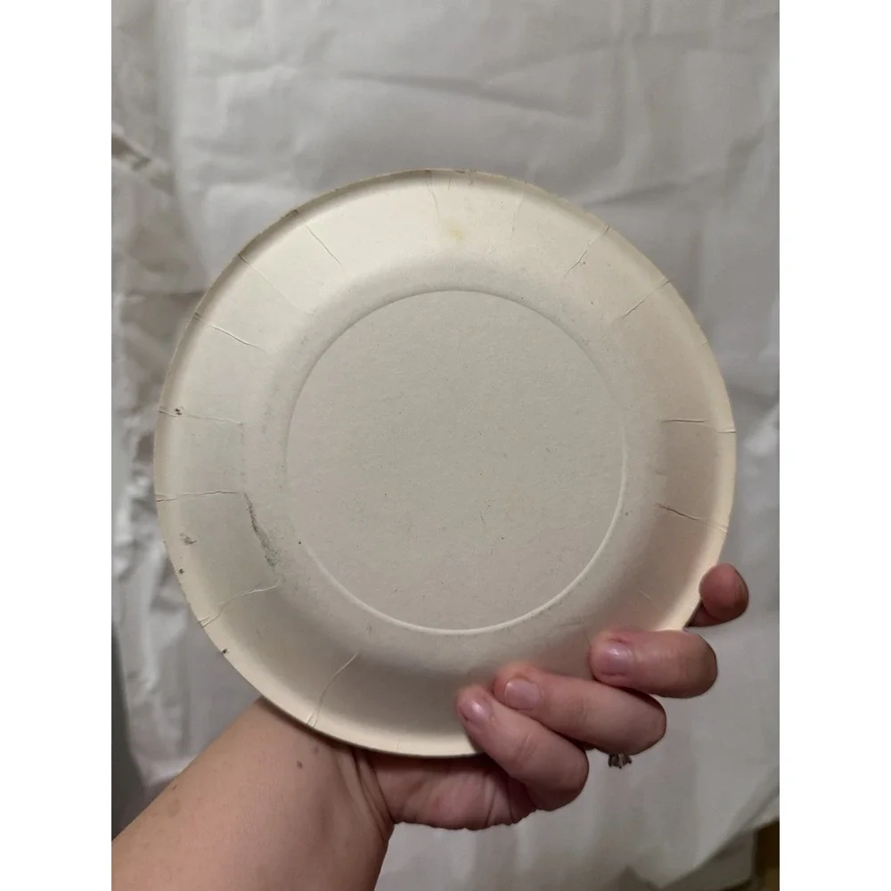 Happy New Year Vintage Disposable Plates X7